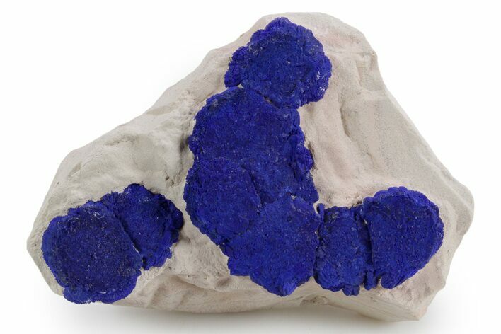 Vibrant Blue Azurite Suns on Siltstone - Australia #361244